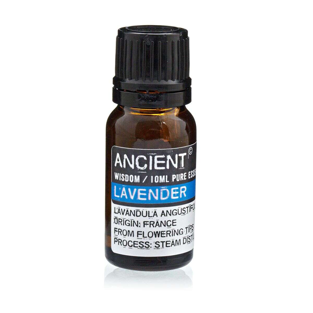 Olejek lawendowy z Francji — 10ml - Image 6