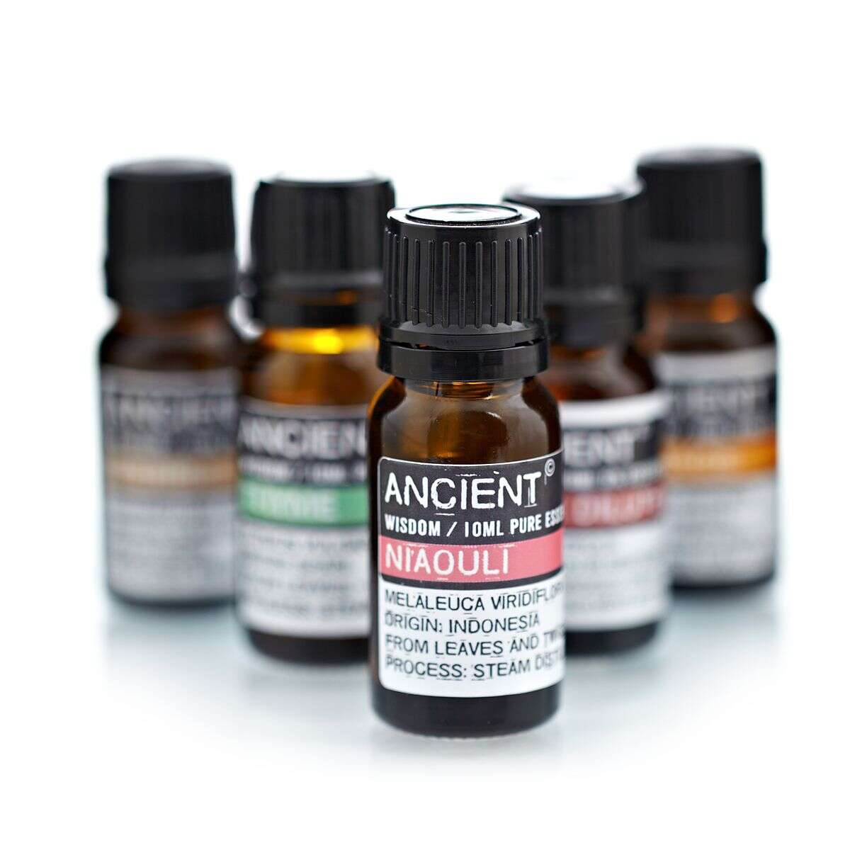 Olejek eteryczny Niaouli 10 ml - Image 3